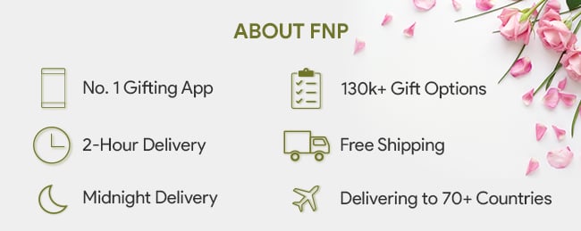 about fnp