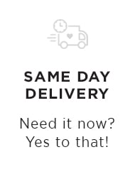 Same day delivery