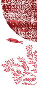 Seasalt illustrations: red fish, seaweed details and circles