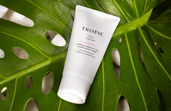 Meet Feel Fresh: Our Bestselling Deodorant